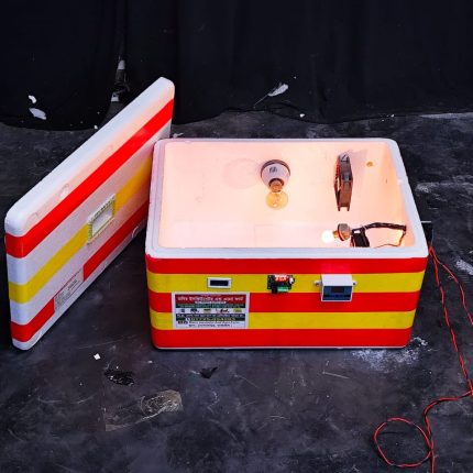 ৮০-১০০ ডিমের এসি ডিসি ইনকিউবেটর মেশিন