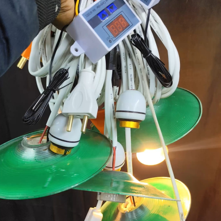 হাসঁ মুরগীর ২০০-৩০০ বাচ্চা অটো ব্রুডার - Auto Brooder