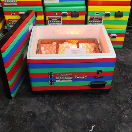 হাঁস মুরগীর ৩০০-৩৫০ ডিমের সেমি অটো ইনকিউবেটর মেশিন